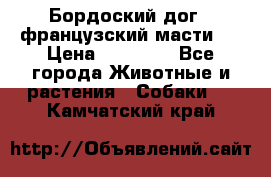 Бордоский дог ( французский масти)  › Цена ­ 50 000 - Все города Животные и растения » Собаки   . Камчатский край